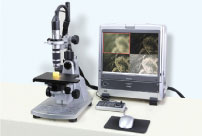 Digital Microscope